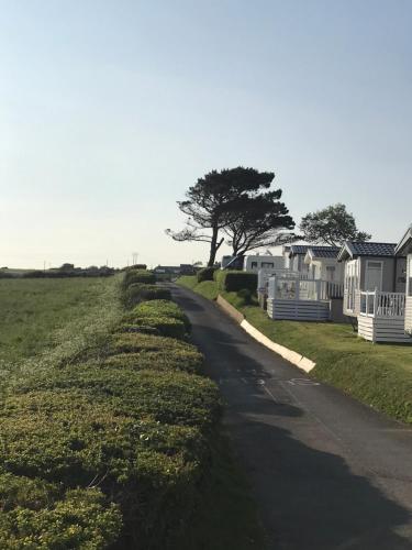 a road next to a field with a tree at Lovely Holiday Caravan, great location - Pebble Bank, near Chesil Beach in Wyke Regis