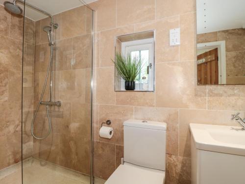 a bathroom with a shower and a toilet and a sink at Nuthatch in Honiton