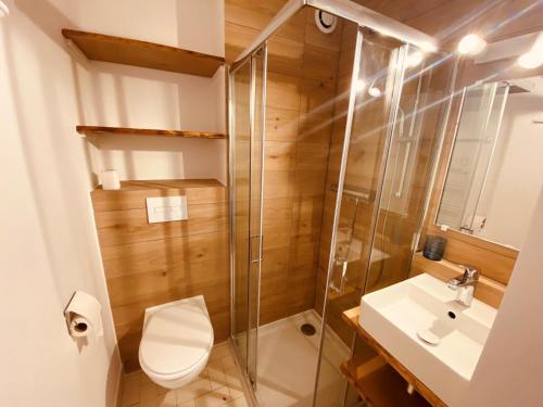une salle de bain avec une douche, des toilettes et un lavabo dans l'établissement Studio moderne avec balcon et garage, proche piste verte et centre, La Clusaz - FR-1-459-118, à La Clusaz