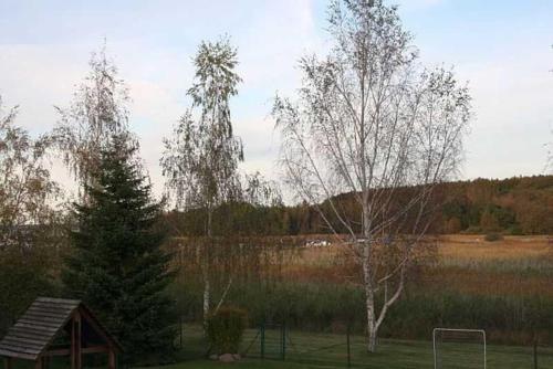 un campo con dos árboles y un gol de fútbol en 2 Ferienwohnungen am Bodden (Nr.86), en Ralswiek