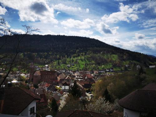 Gallery image of Miu's Ferienwohnung in Alpirsbach