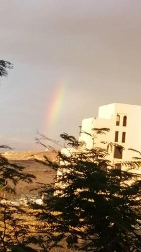 a rainbow in the sky behind a building with a tree at Dead Sea Jordan Sea View Samarah Resort Traveler Award 2024 winner in Sowayma