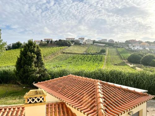 a roof of a house with a vineyard in the background at Casa da Pedra Guest House in Torres Vedras