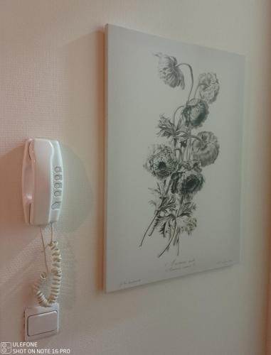 a phone on a wall next to a picture of flowers at Logement Régence in Liège