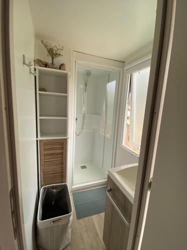 La petite salle de bains est pourvue d'une douche et d'un lavabo. dans l'établissement MH148 camping TOHAPI NOVELA - Mobil home 6p climatisé -, à Port-la-Nouvelle