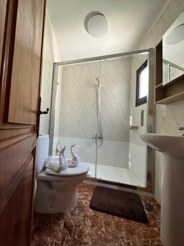 a bathroom with a shower and a toilet and a sink at Casa Zaida in San Sebastián de la Gomera