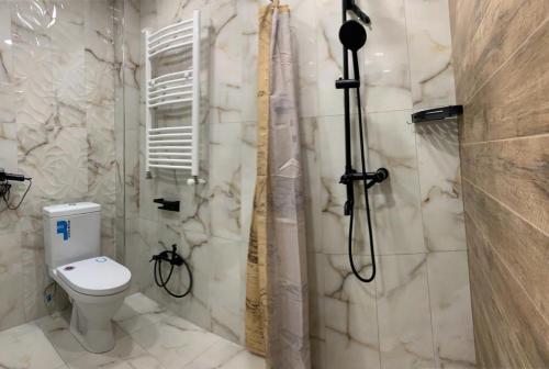 a bathroom with a shower and a toilet in it at Luxury Apartment with balcony in Yerevan