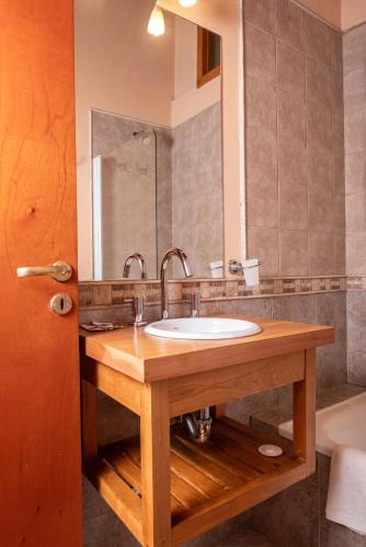 a bathroom with a sink and a mirror at El Viejo Nogal in San Martín de los Andes