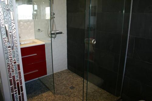 une salle de bain avec une douche en verre et un lavabo dans l'établissement Studio 309, Héliopolis AB, village naturiste, au Cap d'Agde