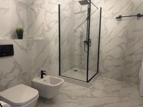 a bathroom with a shower and a toilet and a sink at Apartamenty Przy Deptaku in Świnoujście