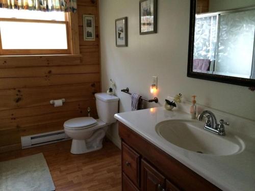 a bathroom with a sink and a toilet and a mirror at Beautiful Log Home, Lake side. in New Hope