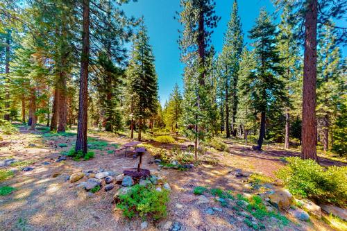 a picnic table in a forest with trees at Epic Mountain Escape in Tahoe Vista