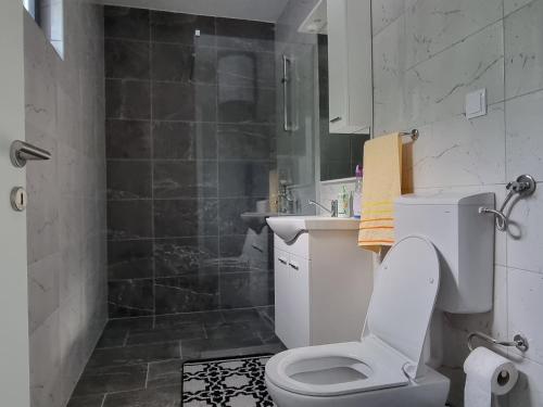een badkamer met een toilet, een wastafel en een douche bij Apartman Nour in Konjic