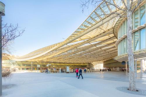 Luxury Living in Louvre