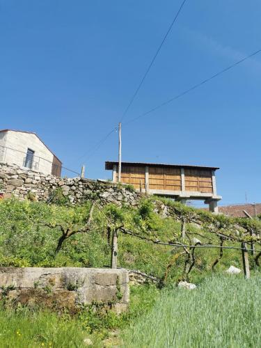 a building on top of a hill with grass at Vila Campo in Alcofra