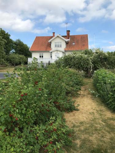 a white house with a red roof and some bushes at Rum på hästgård in Holmsjö