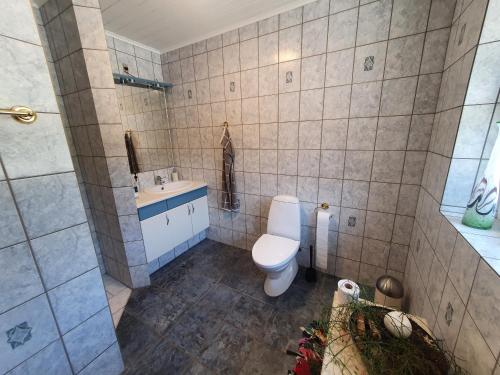 a bathroom with a toilet and a sink at Stort værelse med tekøkken, tæt på hav og fjord. in Bedsted Thy