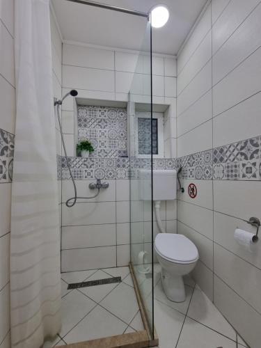 e bagno con servizi igienici e doccia in vetro. di R&S Apartments a Herceg-Novi