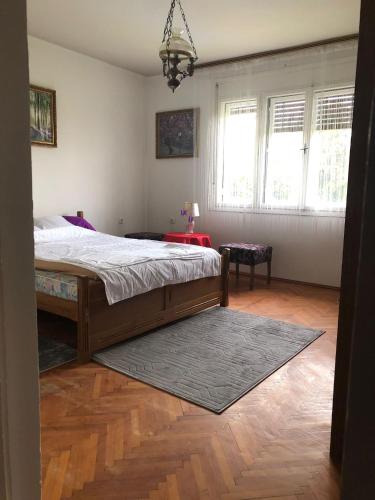 a bedroom with a large bed in a room with windows at Apartman Brzak in Zagreb