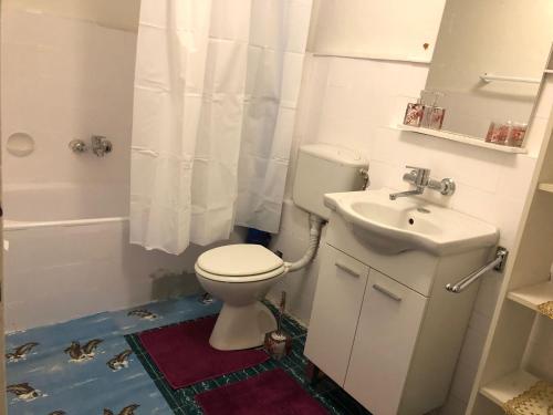 a bathroom with a toilet and a sink at Apartman Brzak in Zagreb