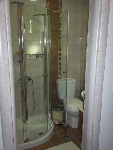 a bathroom with a shower and a toilet at Stalaktites Studios in Sami