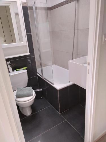 a bathroom with a toilet and a shower at Magnifique studio double cabine in Le Touquet-Paris-Plage