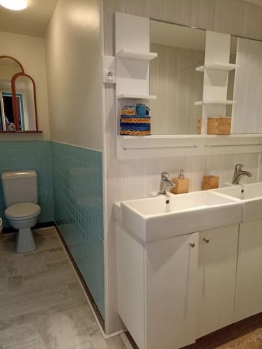 une salle de bain avec deux lavabos et un WC dans l'établissement Studio chemin de Saint Jacques, à Vals-près-le-Puy