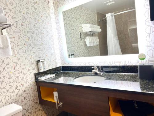 a bathroom with a sink and a mirror at Holiday Inn Toledo - Maumee I-80/90 by IHG in Maumee