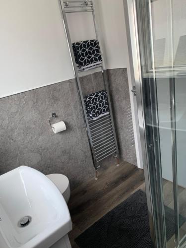 a bathroom with a toilet and a glass shower at Hafan Traeth in Prestatyn