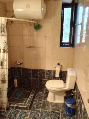 a bathroom with a toilet and a shower at Akrotirio Tainaro House in Marmari