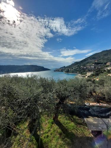 a view of a large body of water at Villa San Pietro in Portovenere