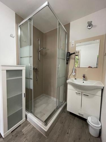 a bathroom with a shower and a sink at Tutti Apartman in Balatonlelle