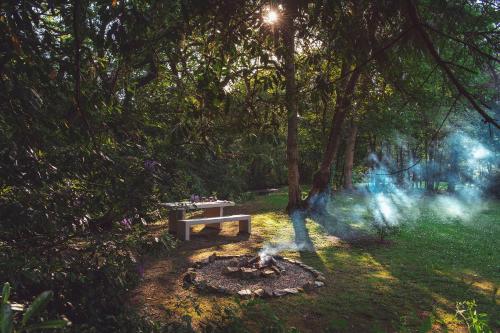 een parkbank in het midden van een bos bij The Duchy Barn at Tregoose Old Mill in Newquay