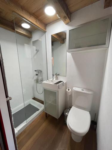 y baño con aseo, lavabo y ducha. en Acogedor apartamento con fantásticas vistas. en La Zubia