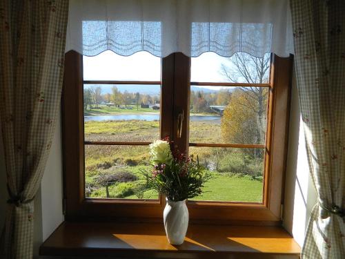 a vase of flowers sitting on a window sill at Chalupa u Lipna in Nová Pec