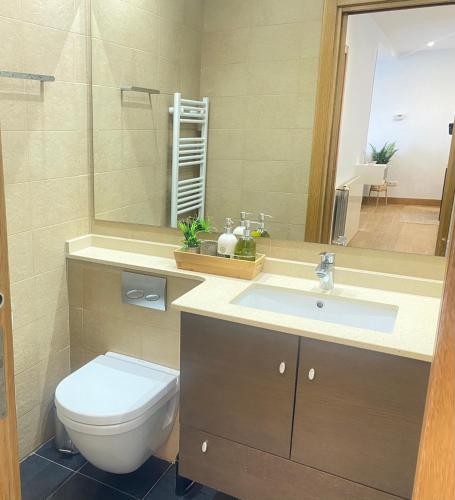a bathroom with a toilet and a sink and a mirror at Mikain Terrace Cathedral View with Free Parking & Air Cond in San Sebastián