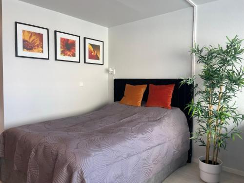 a bedroom with a bed and two plants at Cozy apartment in the middle of Bergen city center in Bergen
