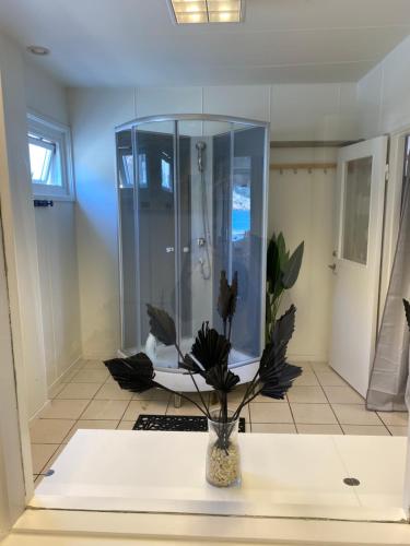 a bathroom with a shower and a vase with a plant at Marinan Richters in Fjällbacka