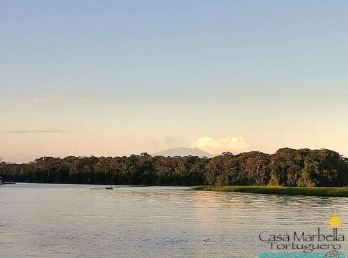 a body of water with trees in the background at Casa Marbella in Tortuguero