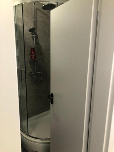a bathroom with a shower with a glass door at Apartment Centro 2 in Kastav