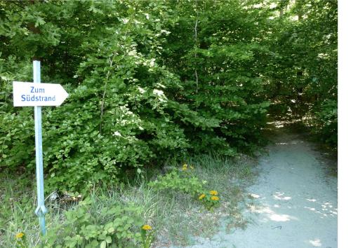 a sign in front of a bush next to a trail at MeerUrlaub 625 SEEPARK Sellin mit BALKON in Ostseebad Sellin