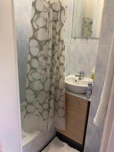 une salle de bain avec un rideau de douche et un lavabo dans l'établissement Studio renovated in the heart of Paris, à Paris