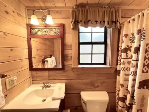 a bathroom with a sink and a toilet and a mirror at Perfect Loose Moose - Dog and Motorcycle Friendly Home in Tellico Plains