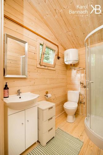 a bathroom with a toilet and a sink and a shower at Mazurskisen in Mrągowo