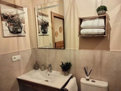 une salle de bain avec un lavabo et un miroir et des toilettes dans l'établissement El Arniu, à Cangas de Onís