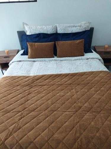 uma cama com almofadas azuis e castanhas em L'hacienda de Maria montchanin em Montchanin