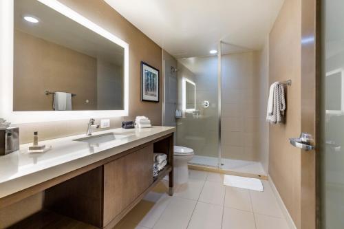 een badkamer met een wastafel, een toilet en een spiegel bij Cambria Hotel Rockville in Rockville