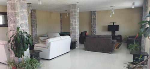 a living room with two couches and a tv at Hotel Sevilla Perote in Perote