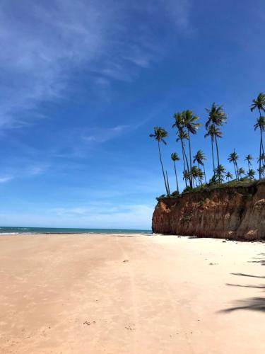 una playa de arena con palmeras y el océano en Cabana Cachandó, en Corumbau