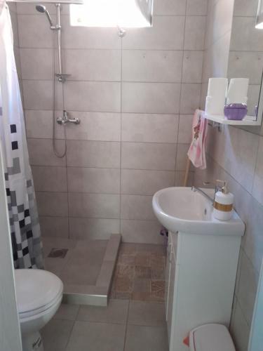 łazienka z toaletą i umywalką w obiekcie Lipov lad w mieście Bela Crkva